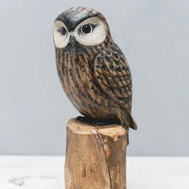 Owl Saw Whet Hand Carved Ornament | Carol & Company display picture 3