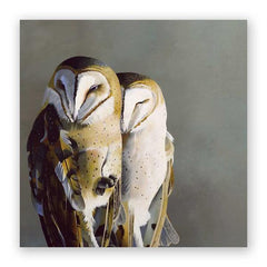 Barn Owl Pair 10