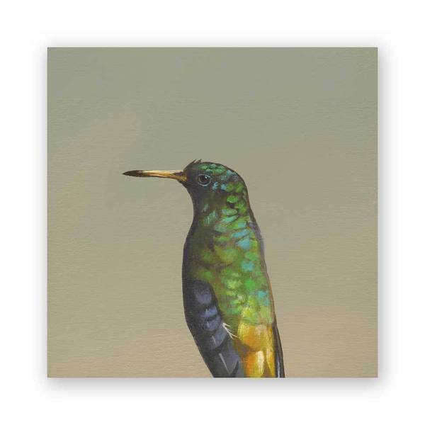 Hummingbird #7 6" x 6" (7/8" D)