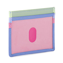 Credit Card Holder