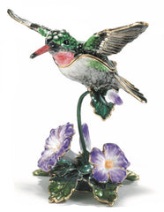 Hummingbird Box