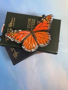 Butterfly Monarch with Open Wings