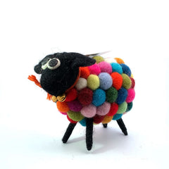 Sheep - Rainbow