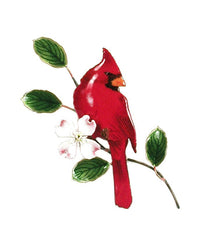 Cardinal on Dogwood
