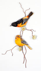 Baltimore Oriole Pair with Flowers