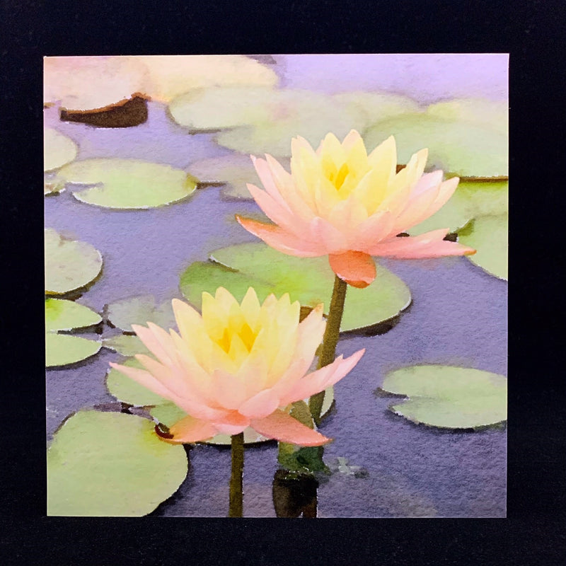 Lotus (8" x 8")
