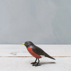 Mini Robin