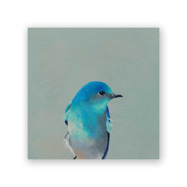 Mountain Bluebird 6" x 6" (7/8" D)