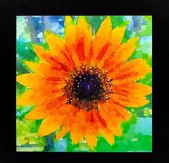 Sunflower Burst (8