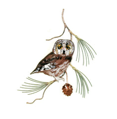 Saw Whet Owl on Pine